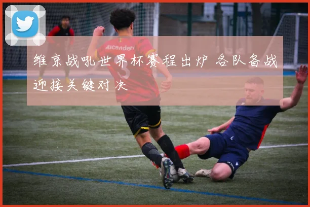 维京战吼世界杯赛程出炉 各队备战迎接关键对决